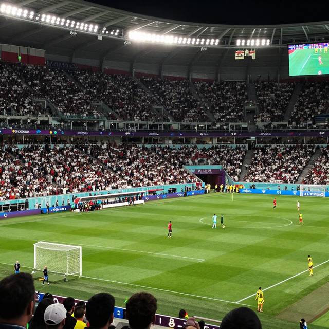 post_img_1783695052_5668
